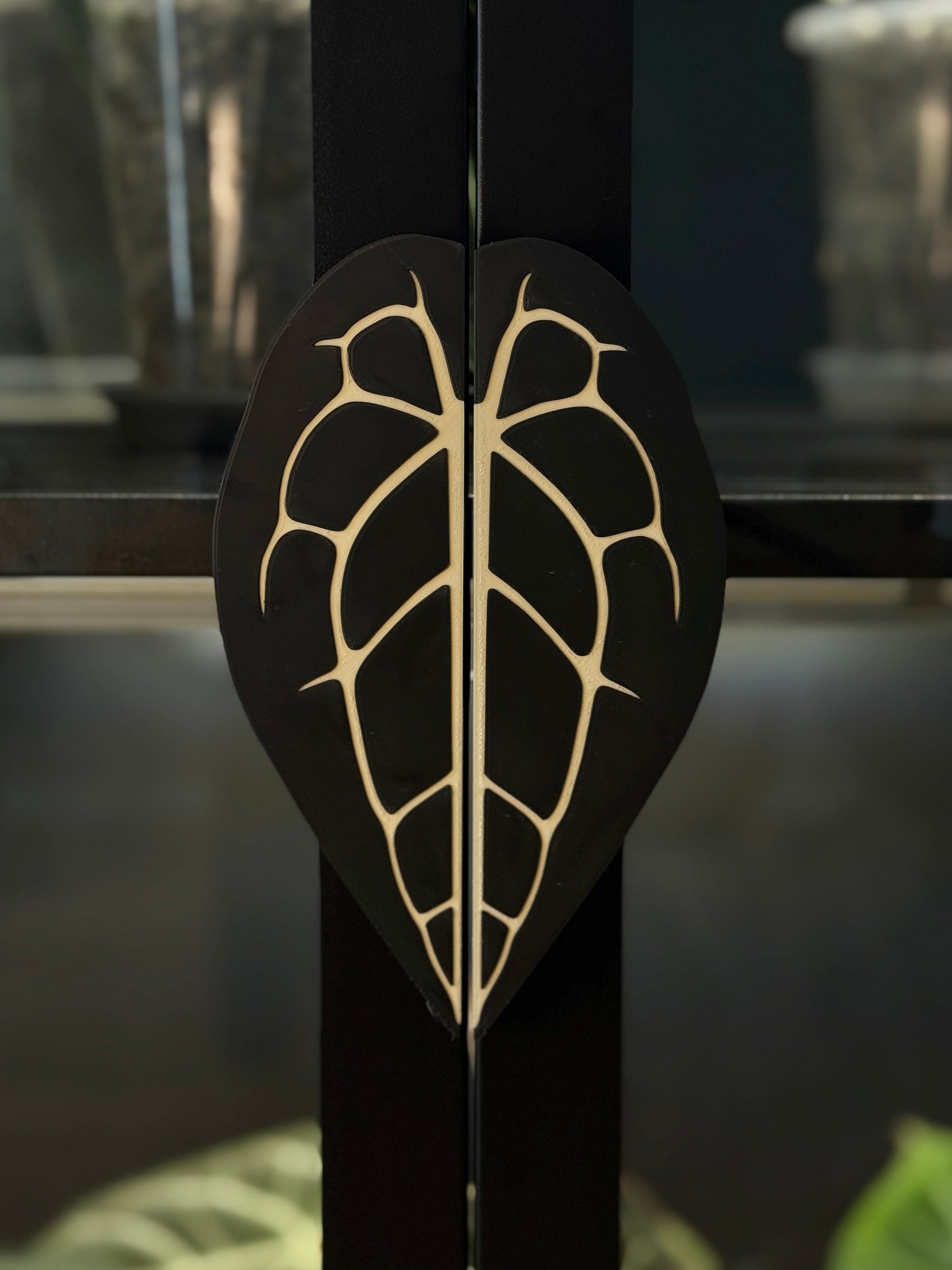 Vitrinen Griff Anthurium Forgetii