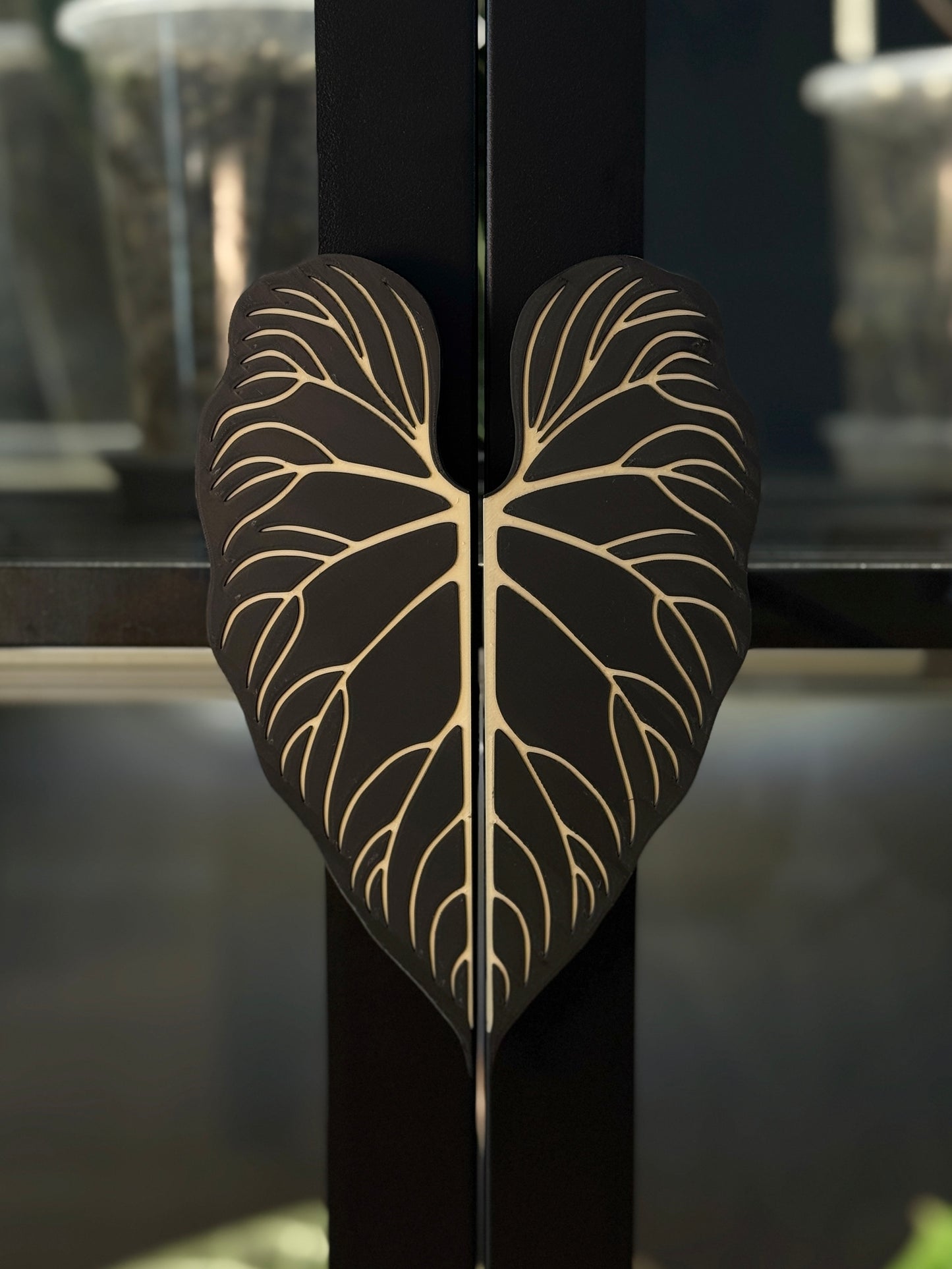 Vitrinen Griff Philodendron Verrucosum