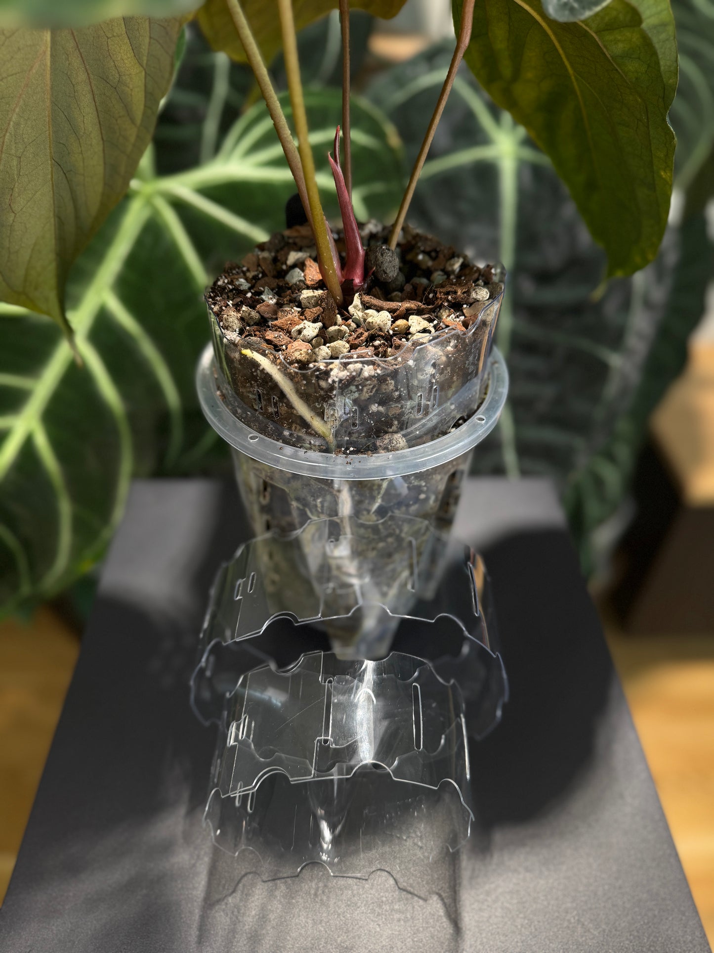 Pot Extender