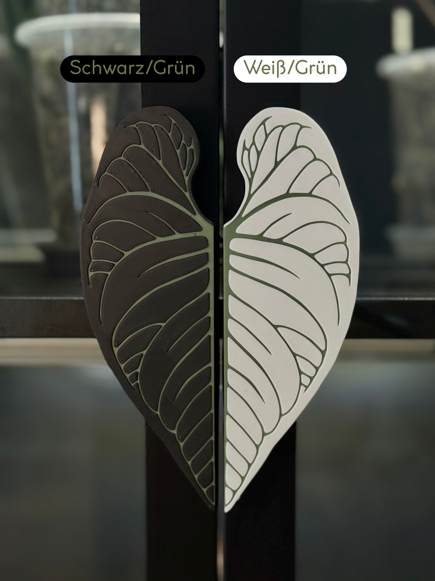 Vitrinen Griff Philodendron Verrucosum
