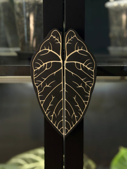 Vitrinen Griff Alocasia Dragon Scale