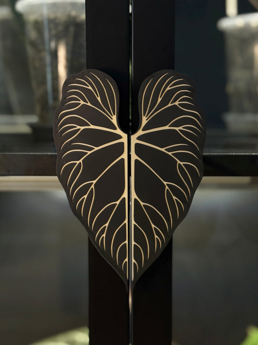 Vitrinen Griff Philodendron Verrucosum