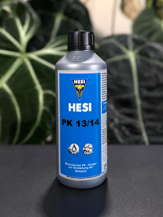 HESI PK 13/14