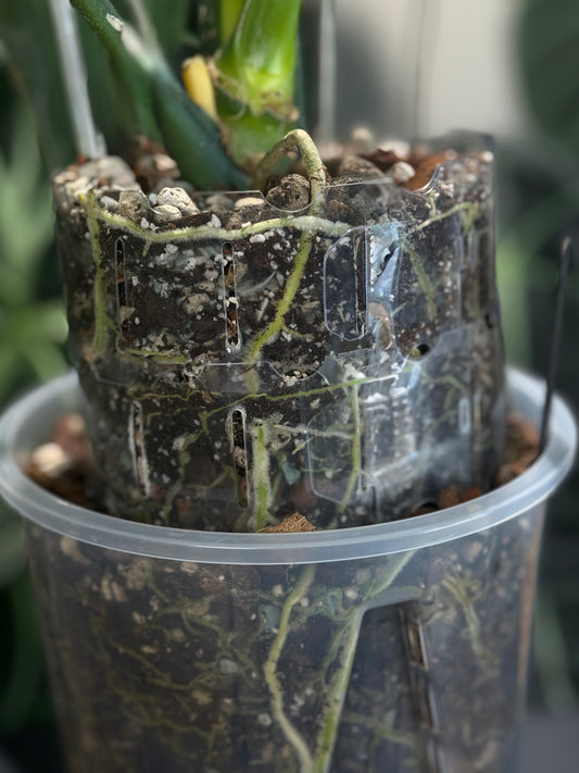 Pot Extender