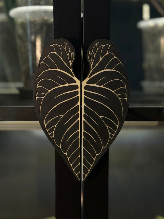 Vitrinen Griff Anthurium Regale