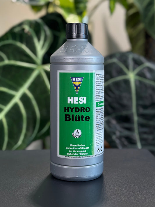 HESI Hydro Blüte