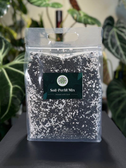 Soil-Perlit Mix
