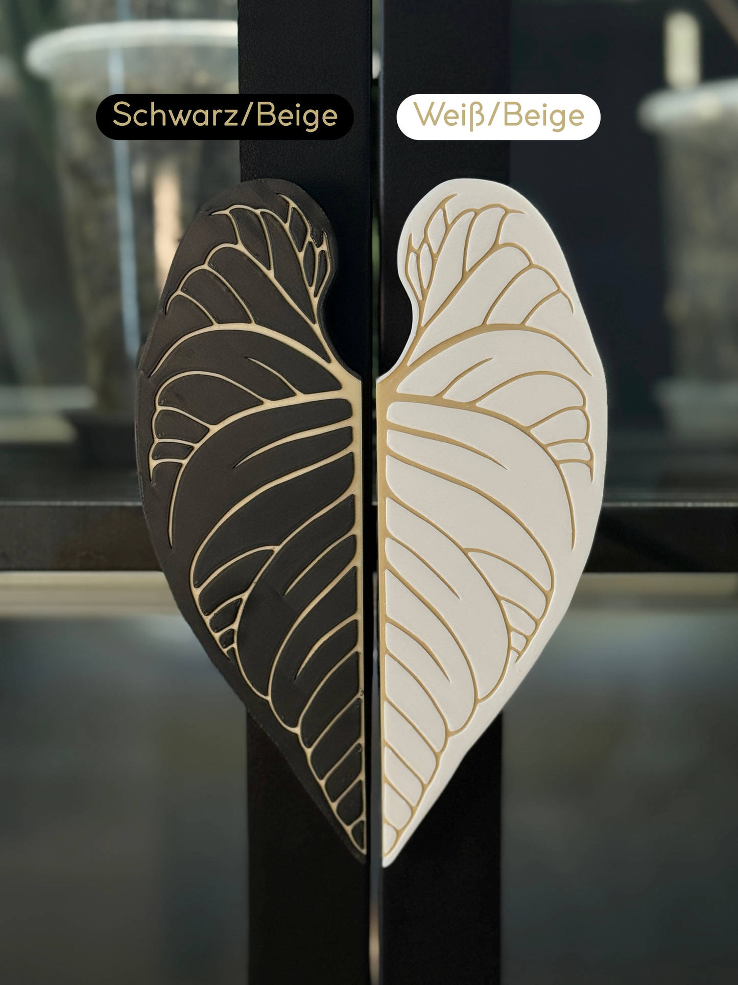 Vitrinen Griff Anthurium Forgetii
