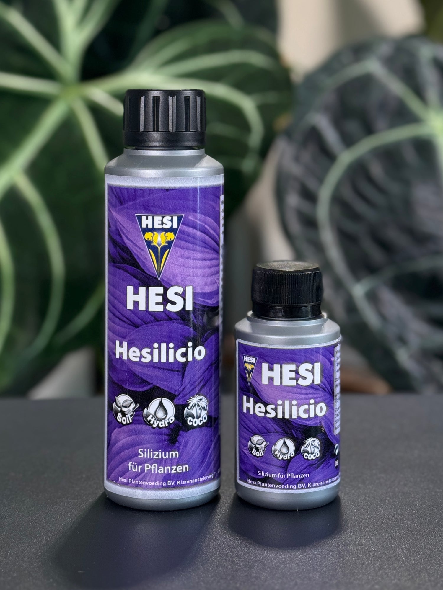 HESI Hesilico Silizium Dünger für Zimmerpflanzen und tropische Pflanzen