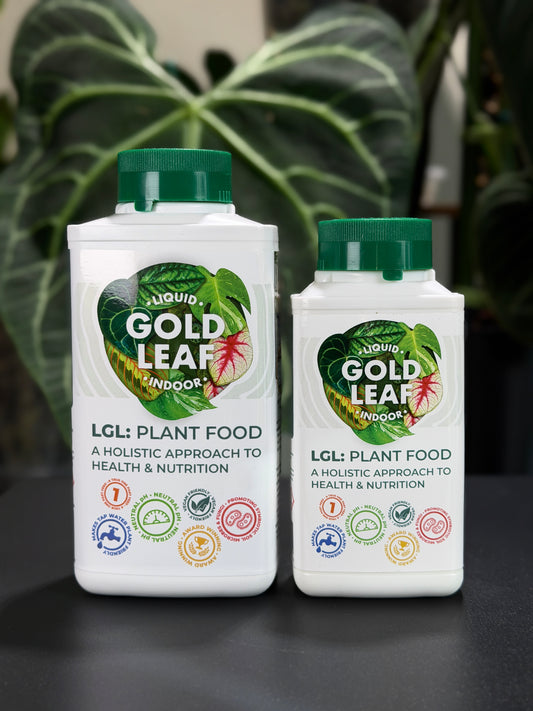 Liquid Gold Leaf Liquid Pflanzendünger für Zimmerpflanzen in zwei Flaschengrößen 250ml und 500ml